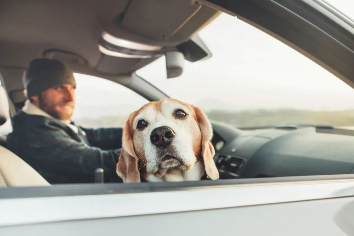 Bangor Car Accident Lawyers