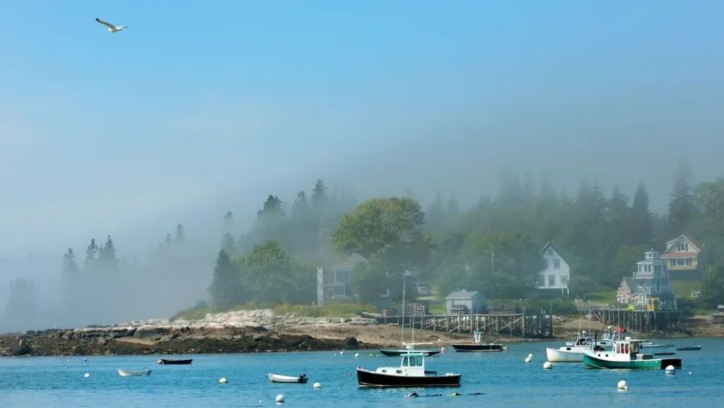 Why-Local-Knowledge-Matters-1024x682